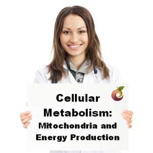 Cellular Metabolism