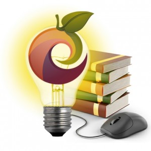 INE advanced topics and references