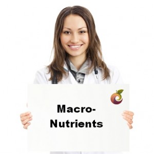 Macronutrients